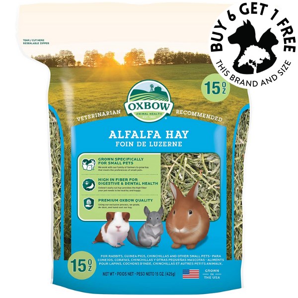 Alfalfa Hay 425g