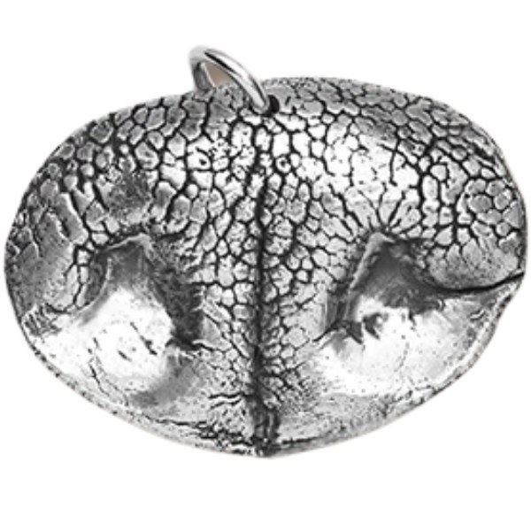 Custom Silver Pet Nose Print Pendant
