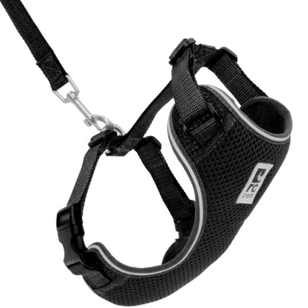 Adventure Kitty Harness, Black, Small