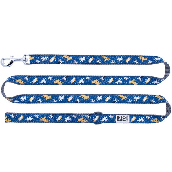 3/4"x6' Leash, Space Dogs