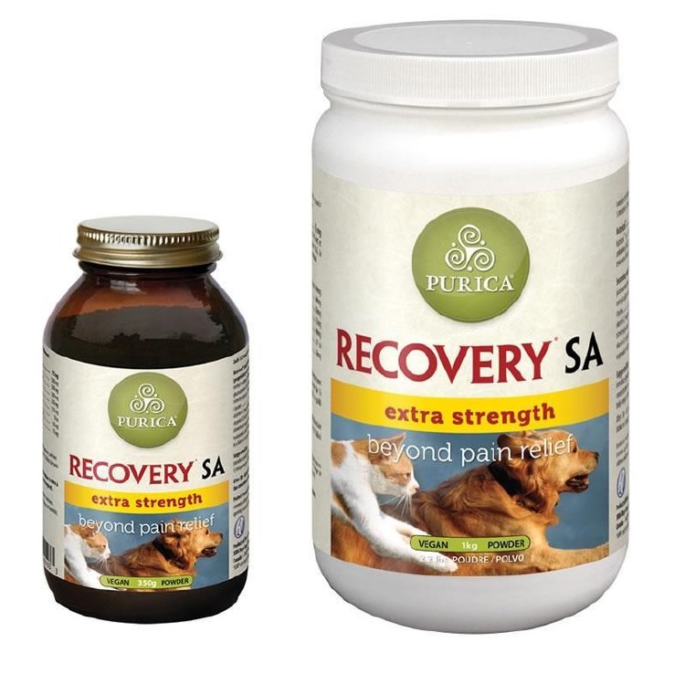 Recovery SA Powder Extra Strength, 150g
