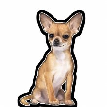 Chihuahua - Vinyl Sticker