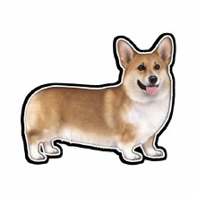 Welch Corgi - Vinyl Sticker