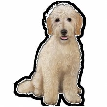 Goldendoodle - Vinyl Sticker