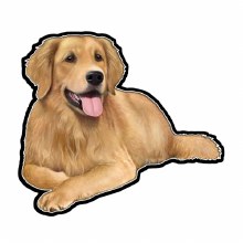 Golden Retriever Laying - Vinyl Sticker