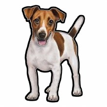 Jack Russel - Vinyl Sticker