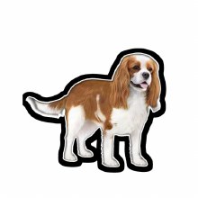 Cavalier King Charles - Vinyl Sticker