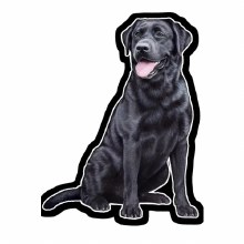 Black Lab - Vinyl Sticker