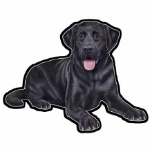 Black Lab Laying - Vinyl Sticker