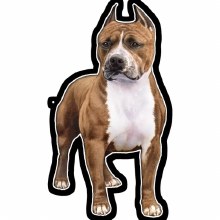 Pitt Bull Brindle - Vinyl Sticker