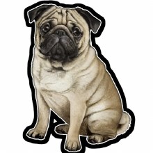 Pug - Vinyl Sticker