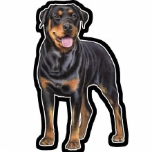 Rottweiler - Vinyl Sticker