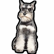 Schnauzer Cropped - Vinyl Sticker