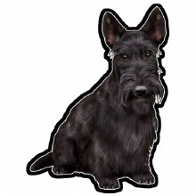 Scottish Terrier - Vinyl Sticker