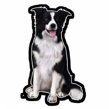 Border Collie - Vinyl Sticker