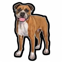 Boxer - Vinyl Sticker