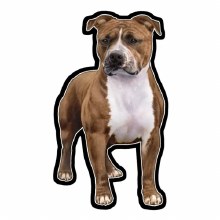 Pitt Bull - Vinyl Sticker