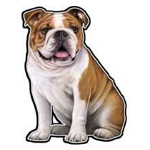 Bulldog - Vinyl Sticker