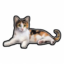 Calico Cat - Vinyl Sticker