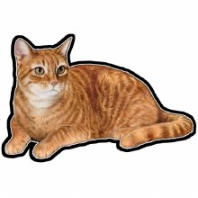 Orange Tabby Cat - Vinyl Sticker