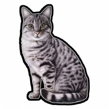 Silver Tabby Cat - Vinyl Sticker