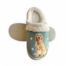 Slippers, Golden Retriever L/XL