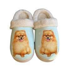 Slippers, Pomeranian L/XK