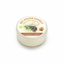 Evergreen Forest Mini Candle