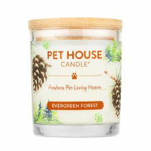 Evergreen Forest Candle