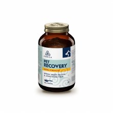 Recovery SA Powder Extra Strength, 150g