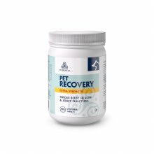 Recovery SA Extra Strength 360 tablets