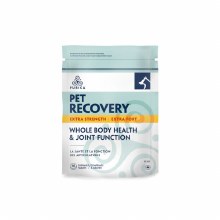 Recovery SA Extra Strength 30 tablets