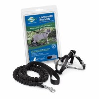 Come With Me Kitty Harness & Bungee Leash, Large (Black) Come With Me Kitty Harness & Bungee Leash, Large (Black)