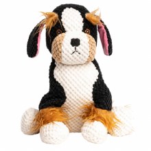 Floppy Berner S