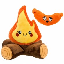 Picture of Campfire