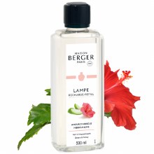 Picture of Hibiscus Love