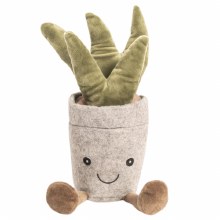 Nandog hotsell cactus bed