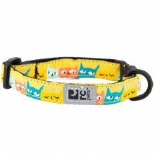 Breakaway Collar, Cat-Titude