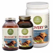 Recovery SA 60 tablets