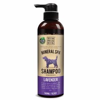 Lavender 16oz Lavender 16oz