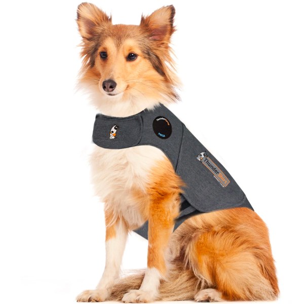 Thundershirt Sport Platinum Small
