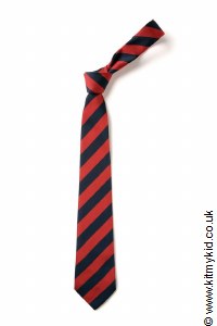 School Tie - Normal