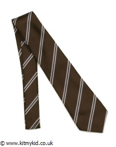 School Tie - Normal