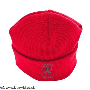 Embroidered Wooly Hat
