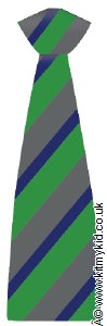 Elastic Tie