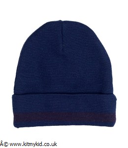 Navy Woolly Hat with purple stripe