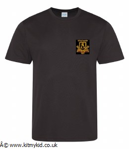 AWD REG T-SHIRT BLK LRG