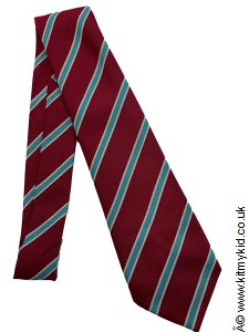 BARU TIE STRIPED ONE SIZE