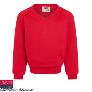 DL V NECK SWEAT RED LRG