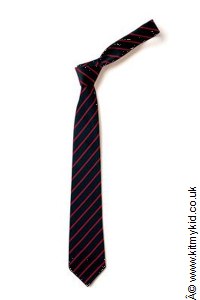 Elastic Tie